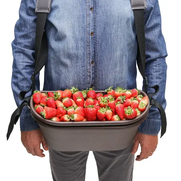 Caixa Coletora de Frutas Pequenas e Sensíveis